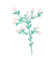 Twig with inflorescences and leaves for design. Hello spring. Beautiful branch with flowers for greeting cards, posters, cards, stickers, decorations. Vector illustration on isolated white background