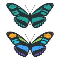 Small butterflies vector set, drawing butterfly, black and colorful spring aesthetic butterfly isolated on white background.