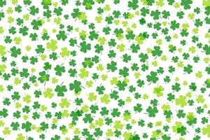 Shamrock or green clover leaves pattern background flat design vector illustration isolated on white background.