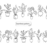 Two house plants seamless border in outline style isolated on white background.Vector illustration of home different plants in pots sketch style.Botanical seamless background vector