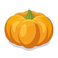 Orange pumpkin vector illustration. Autumn halloween pumpkin, vegetable