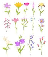 Floral flower elements colorful set vector