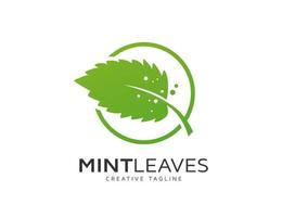 Fresh green mint leaves logo design vector