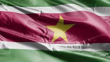 drapeau du suriname agitant sur la boucle du vent. bannière surinamaise se balançant sur la brise. fond de remplissage complet. Boucle de 10 secondes. video