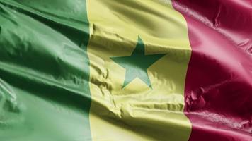 Senegal flag waving on the wind loop. Senegalese banner swaying on the breeze. Full filling background. 10 seconds loop. video