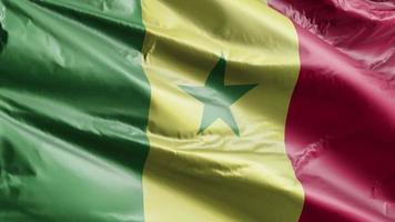 bandeira do senegal acenando lentamente no loop de vento. bandeira senegalesa balançando suavemente na brisa. fundo de preenchimento completo. Ciclo de 20 segundos. video