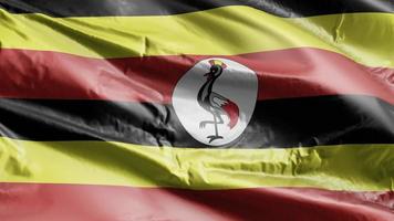 bandeira de uganda acenando no loop de vento. bandeira de uganda balançando na brisa. fundo de preenchimento completo. loop de 10 segundos. video