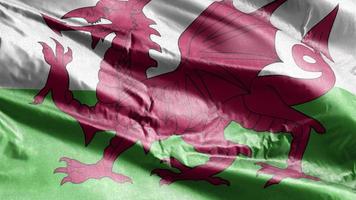 Wales textile flag waving on the wind loop. Wales banner swaying on the breeze. Fabric textile tissue. Full filling background. 10 seconds loop. video