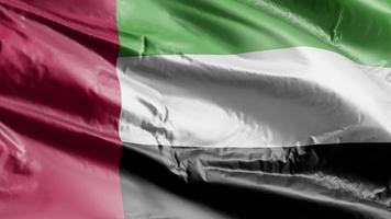 United Arab Emirates flag waving on the wind loop. United Arab Emirates banner swaying on the breeze. Full filling background. 10 seconds loop. video