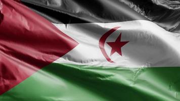 vlag van de westelijke sahara langzaam zwaaiend op de windlus. westelijke sahara banner soepel zwaaiend op de wind. volledige vulling achtergrond. 20 seconden lus. video