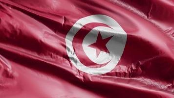 bandiera della tunisia che sventola sull'anello del vento. bandiera tunisina che ondeggia sulla brezza. sfondo di riempimento completo. Ciclo di 10 secondi. video