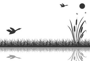 The black silhouette of marsh grass with flying ducks is reflected in the water. vector