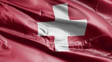 Switzerland flag waving on the wind loop. Swiss banner swaying on the breeze. Full filling background. 10 seconds loop. video