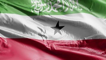 bandiera del somaliland sventola sul ciclo del vento. bandiera del somaliland che ondeggia sulla brezza. sfondo di riempimento completo. Ciclo di 10 secondi. video