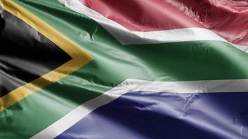 bandera de sudáfrica ondeando lentamente en el bucle de viento. bandera sudafricana balanceándose suavemente con la brisa. fondo de relleno completo. Bucle de 20 segundos. video
