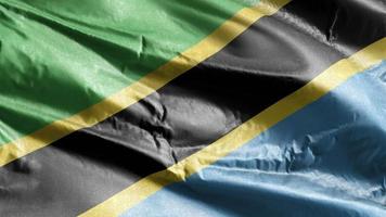 Tanzania textile flag waving on the wind loop. Tanzanian banner swaying on the breeze. Fabric textile tissue. Full filling background. 10 seconds loop. video