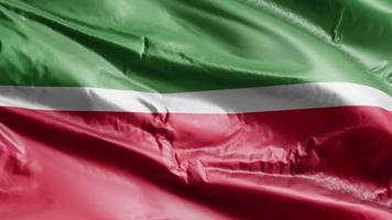 Tatarstan flag waving on the wind loop. Tatarstan banner swaying on the breeze. Full filling background. 10 seconds loop. video