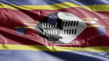 bandera de swazilandia ondeando en el bucle de viento. bandera swazi balanceándose con la brisa. fondo de relleno completo. Bucle de 10 segundos. video