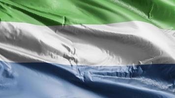 bandiera della sierra leone sventola sul ciclo del vento. bandiera della sierra leone che ondeggia nella brezza. sfondo di riempimento completo. Ciclo di 10 secondi. video