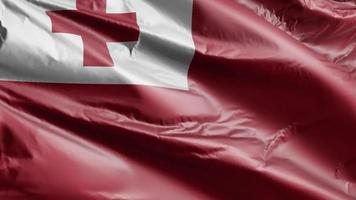 die tonga-flagge weht langsam auf der windschleife. Tonga-Banner wiegt sich sanft im Wind. voll ausfüllender Hintergrund. 20 Sekunden Schleife. video