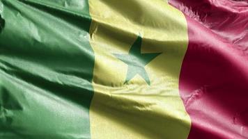 Senegal textile flag slow waving on the wind loop. Senegalese banner smoothly swaying on the breeze. Fabric textile tissue. Full filling background. 20 seconds loop. video