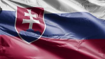 Slowakische Flagge weht langsam auf der Windschleife. Slowakisches Banner wiegt sich sanft im Wind. voll ausfüllender Hintergrund. 20 Sekunden Schleife. video