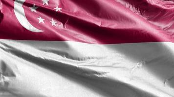 drapeau textile de singapour agitant lentement sur la boucle du vent. bannière singapourienne se balançant doucement sur la brise. tissu tissu textile. fond de remplissage complet. Boucle de 20 secondes. video
