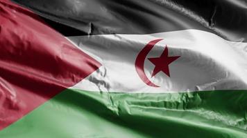 Western Sahara flag waving on the wind loop. Western Sahara banner swaying on the breeze. Full filling background. 10 seconds loop. video