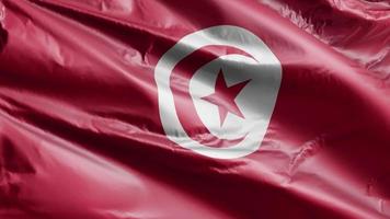 drapeau tunisien agitant lentement sur la boucle du vent. bannière tunisienne se balançant doucement sur la brise. fond de remplissage complet. Boucle de 20 secondes. video