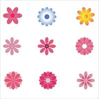 colored Flowers Pack vector