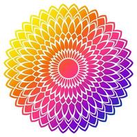 mandala de flores de degradado de colores. elemento decorativo dibujado a mano. elemento floral de fideos redondos ornamentales aislado sobre fondo blanco. vector