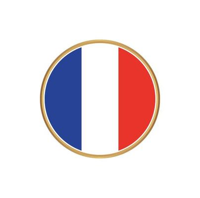 France flag with golden frame