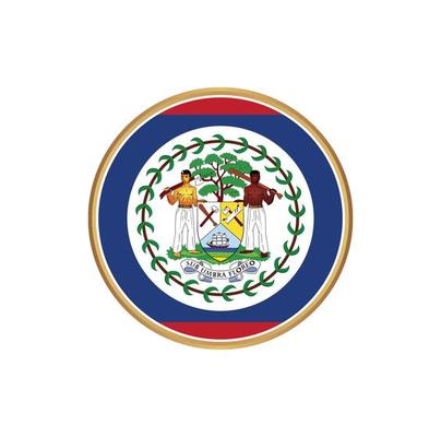 Belize flag with golden frame