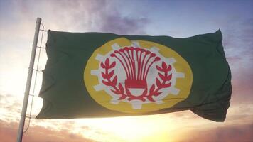 Dakahlia flag, Egypt, waving in the wind, sky and sun background. 3d rendering photo