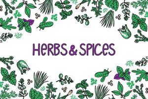 Herbs and spices packaging design template, drawn element in style. Mint, thyme, spinach, rosemary, basil, etc. Logo in a trendy linear style. vector