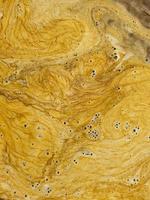 Yellow foam in a puddle. Rust photo