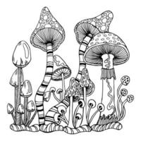 Sketch drawn contour magic mushrooms fly agaric, toadstools. Illustration for coloring book, anti stress