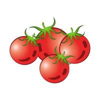 imágenes prediseñadas de tomates con diseño de dibujos animados vector