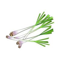 clip art of lemon grass with cartoon design vector