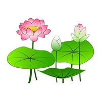 clip art of lotus with cartoon design vector