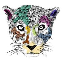 hand drawn of colorful cheetah heads vector