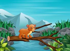 Illsutration of an baby bear crossing a tree bridge vector