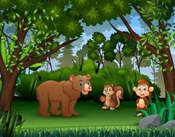 The various animals in the jungle vector