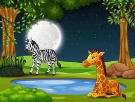 A zebra and giraffe enjoying nature at night vector
