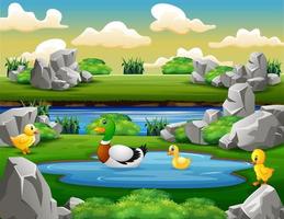 Duck family swims and playing on the small pond vector