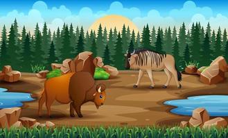 Cartoon animals in the dry land vector