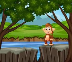 A monkey standing on the cliff vector
