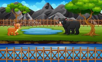 oso adulto y oso bebé en el riego cerca del río vector