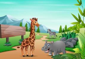 Cartoon wild animal playing in the jungle vector