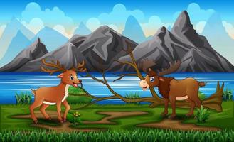 A moose and deer playing in the park vector